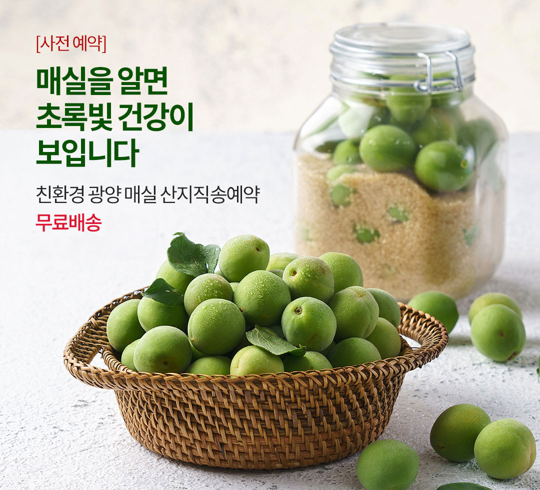 26년 매실