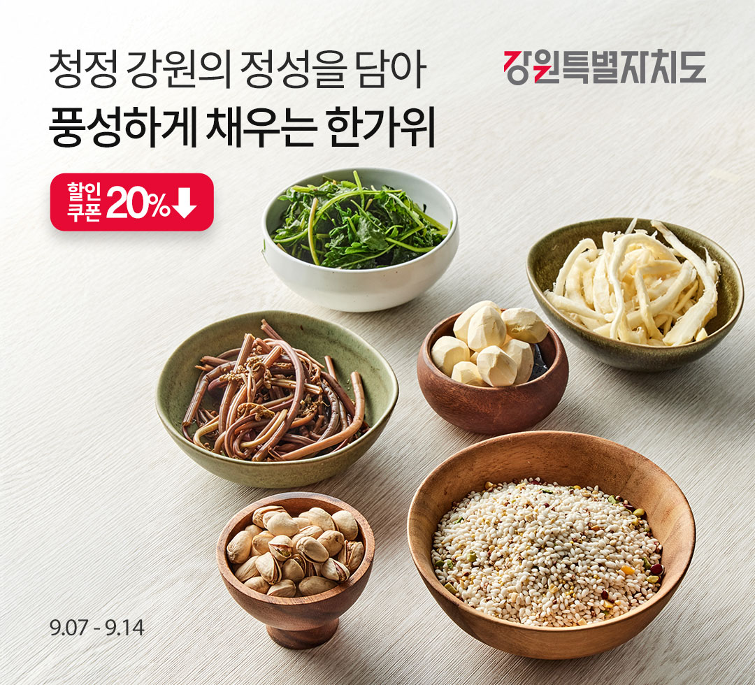 26년 9월 강원기획전