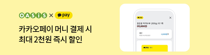 카카오페이머니2
