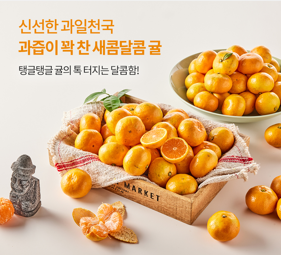 제주감귤
