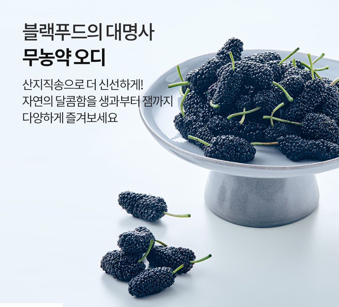 2026년 무농약 오디