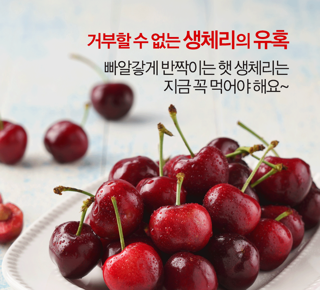체리_배너