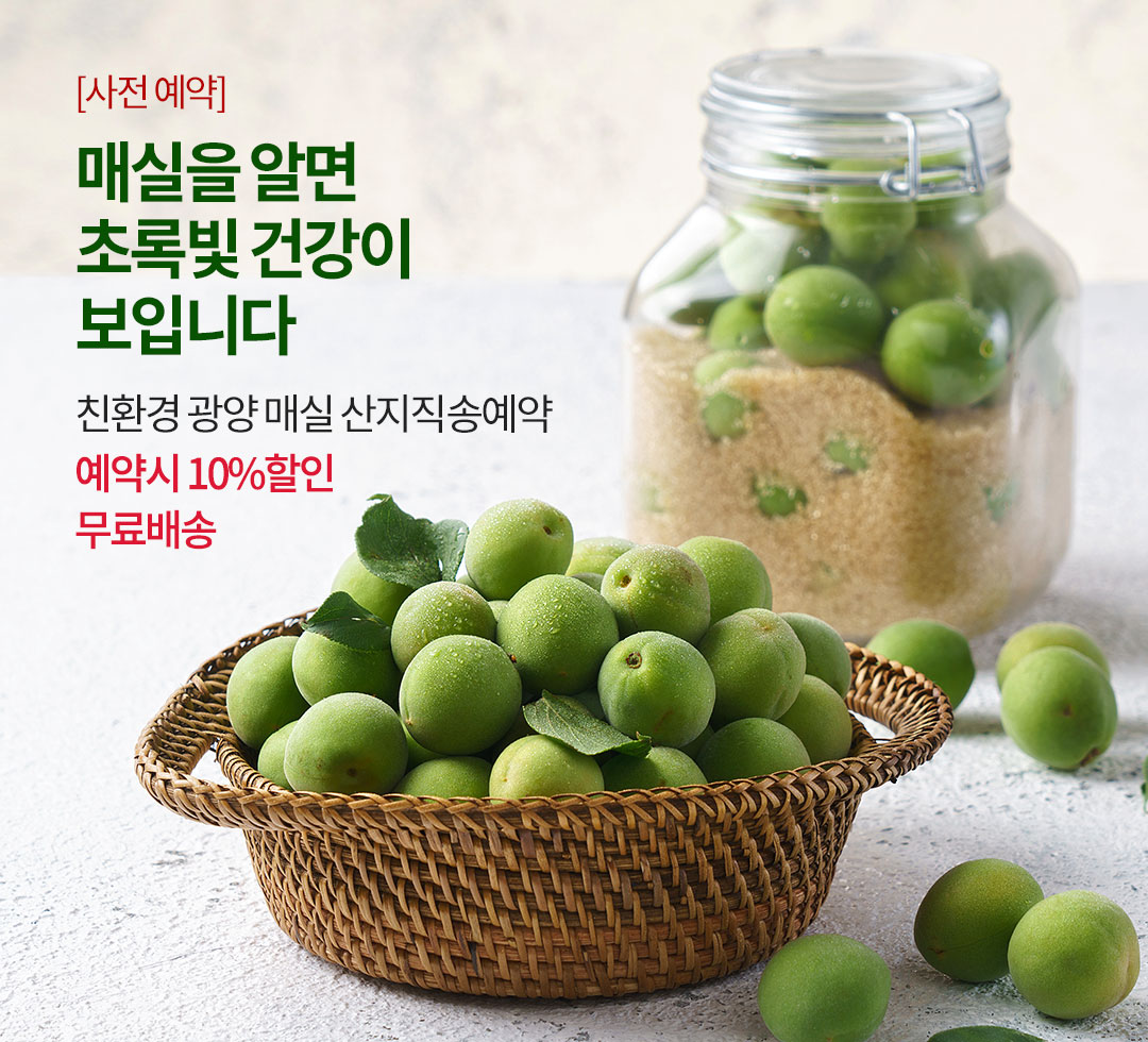 매실240522