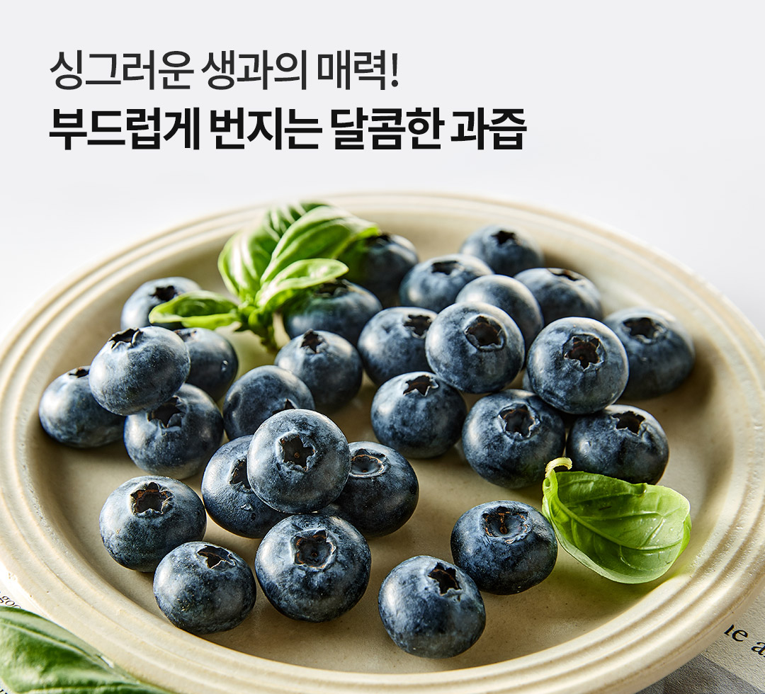 블루베리