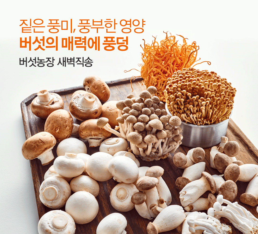 버섯